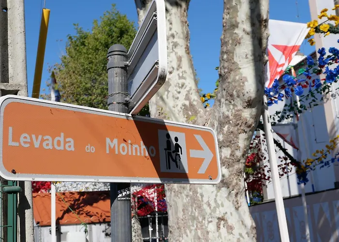 Colive Madeira - Mill House *